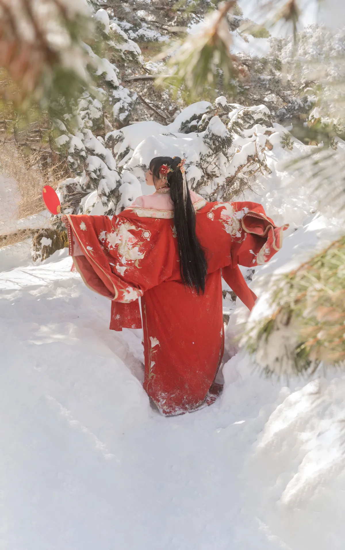 踏雪