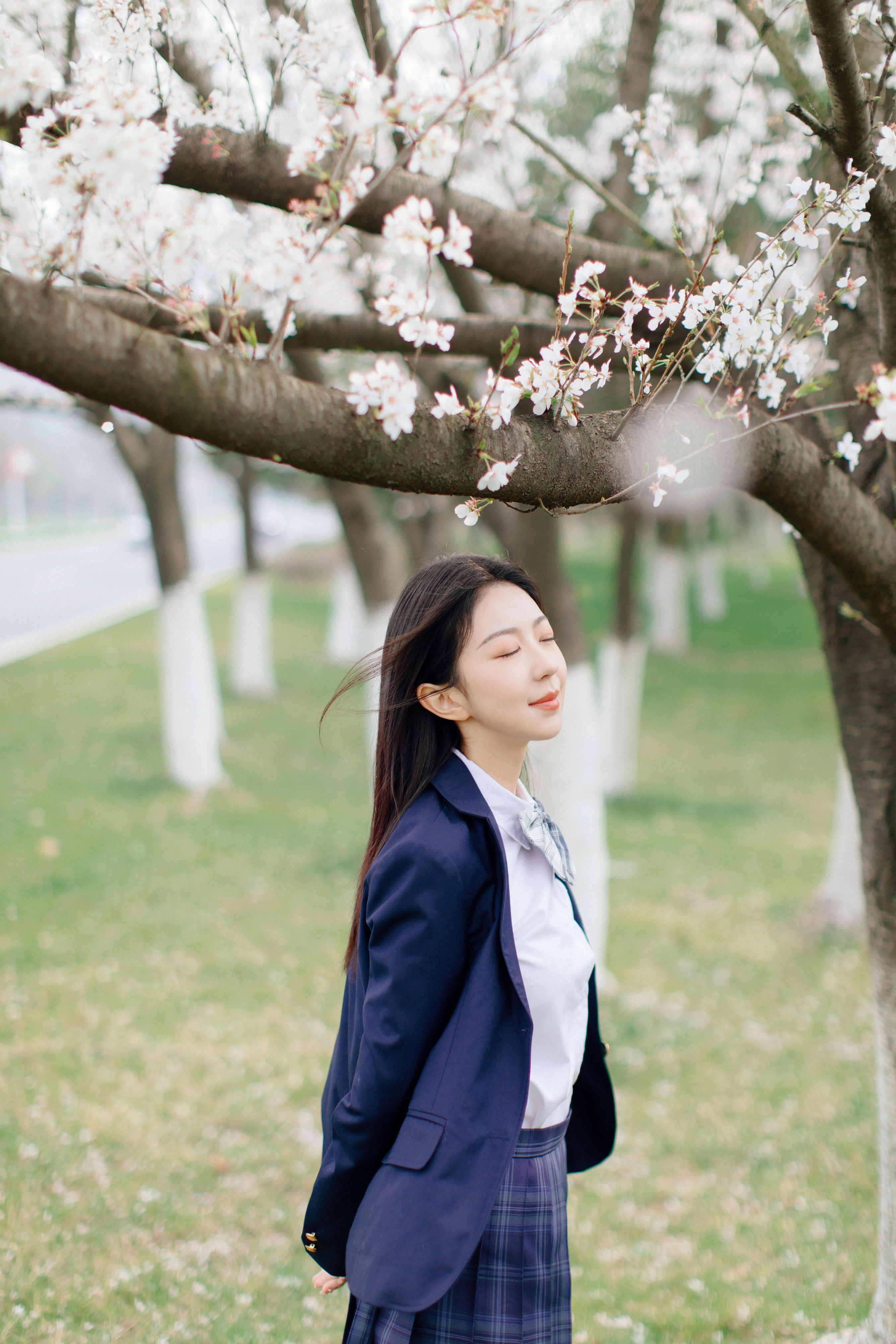 樱花时分