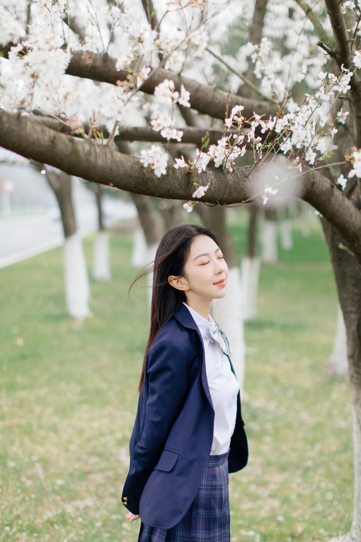 樱花时分1