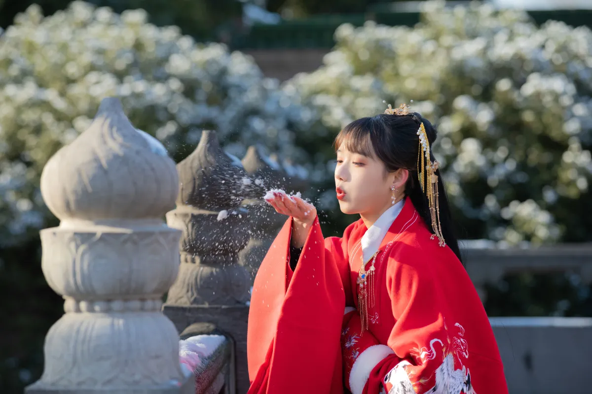 深宫雪