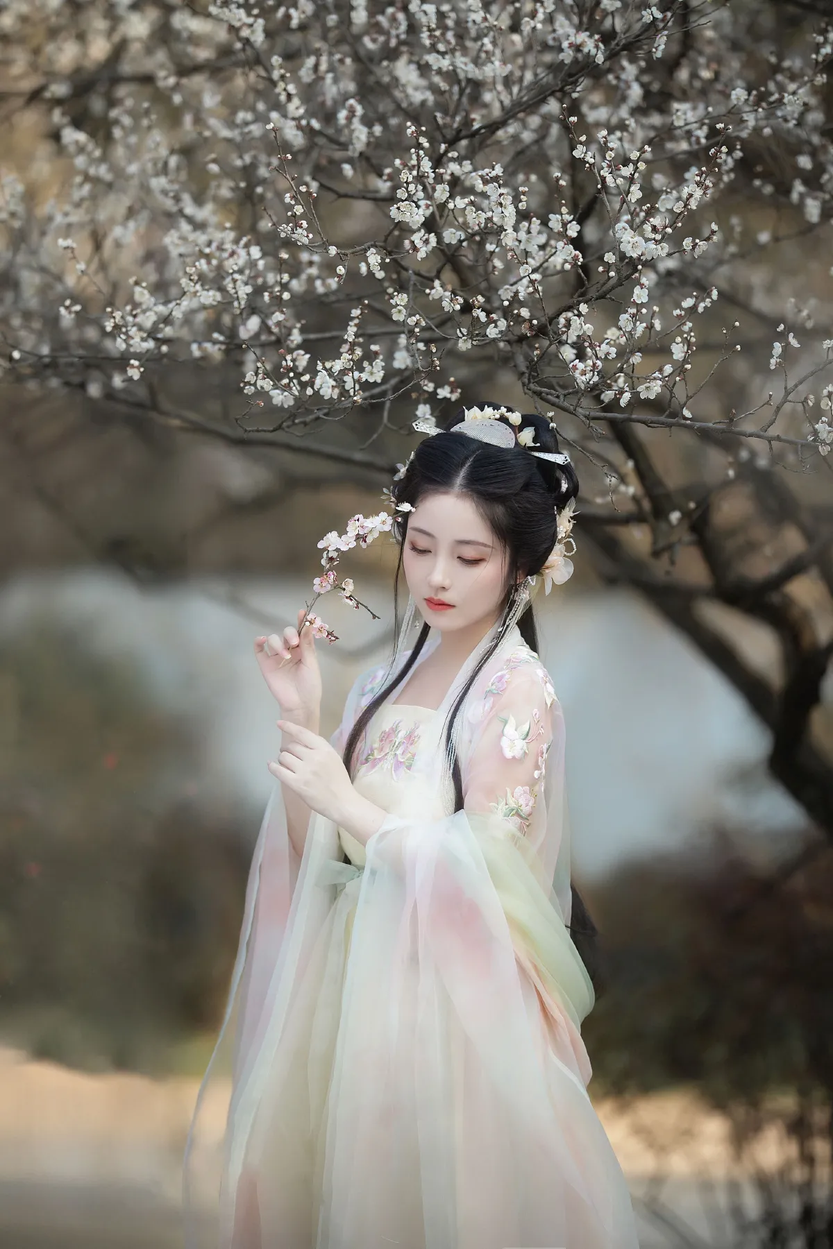 暗香