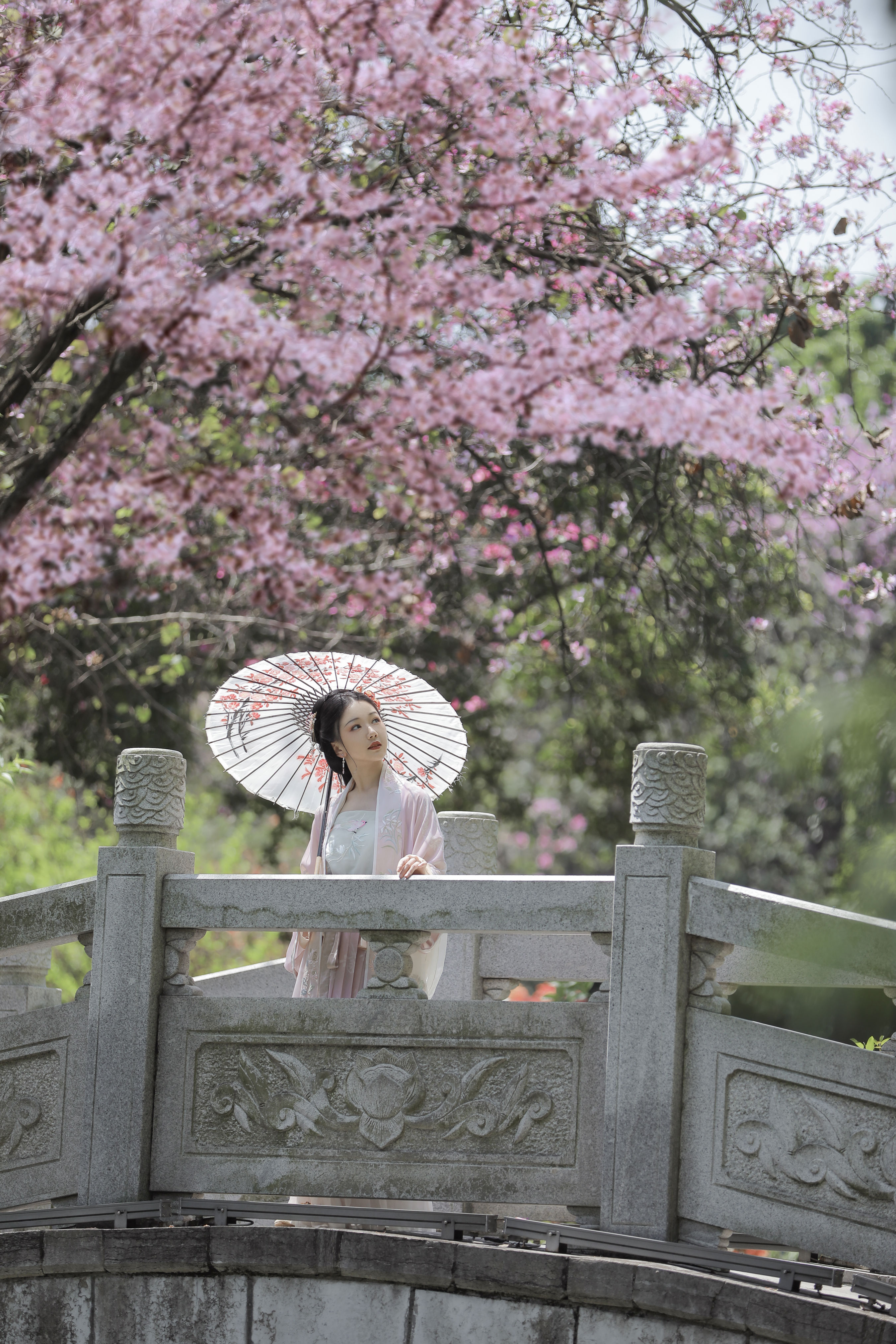 落花风