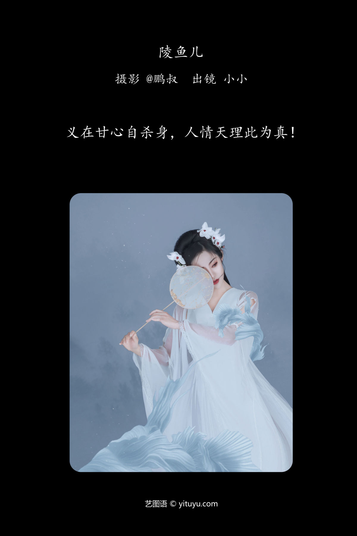 @鹏叔_小小《陵鱼儿》美图作品图片2