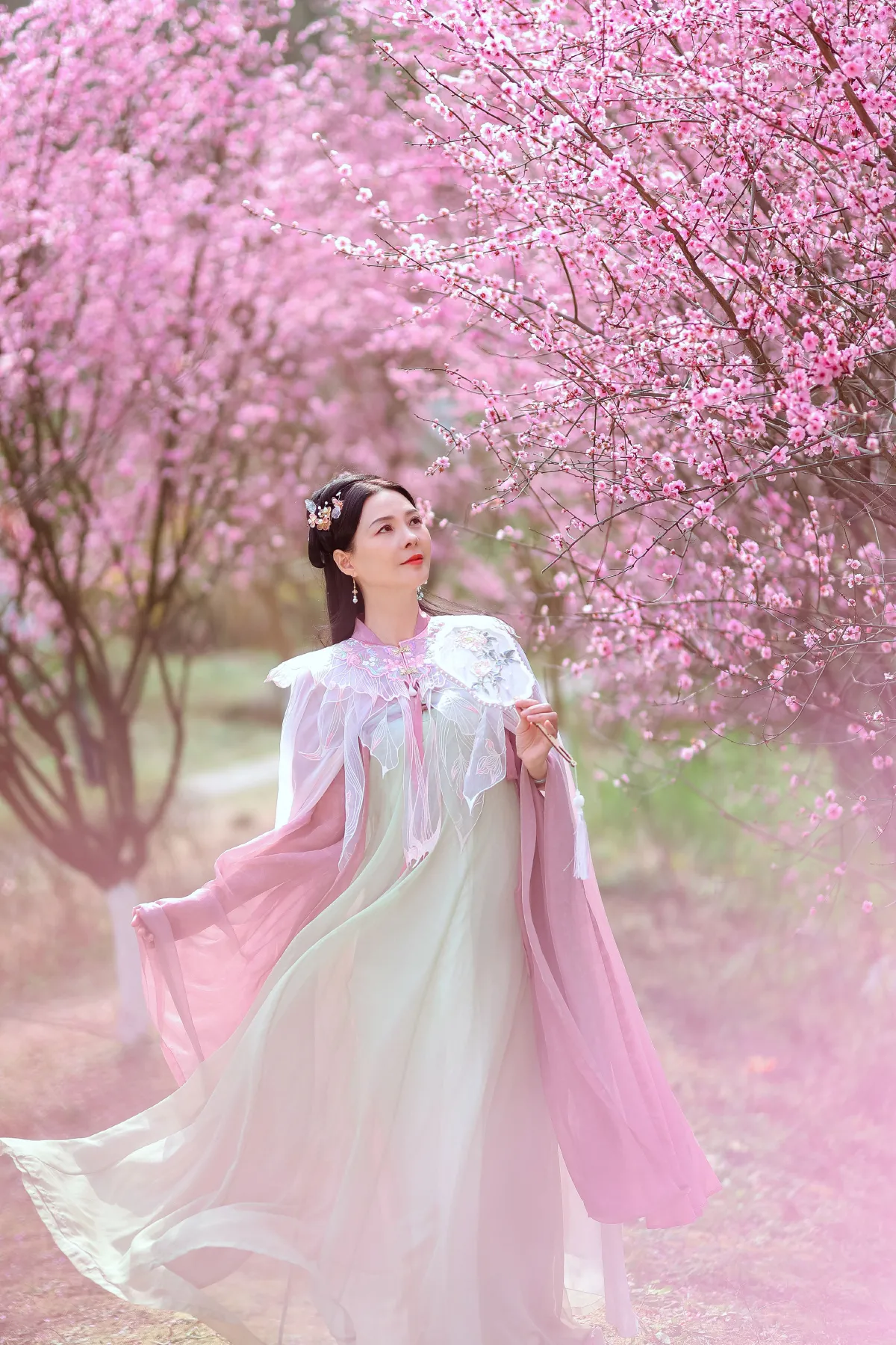 暖春樱色