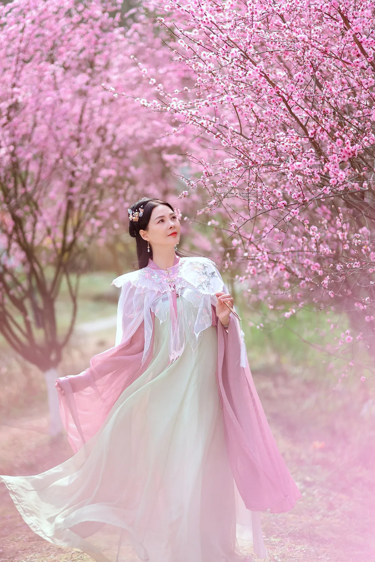 暖春樱色1