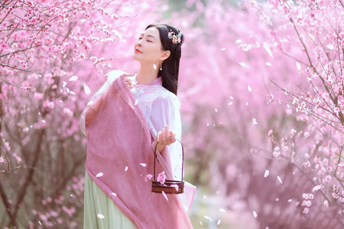 暖春樱色