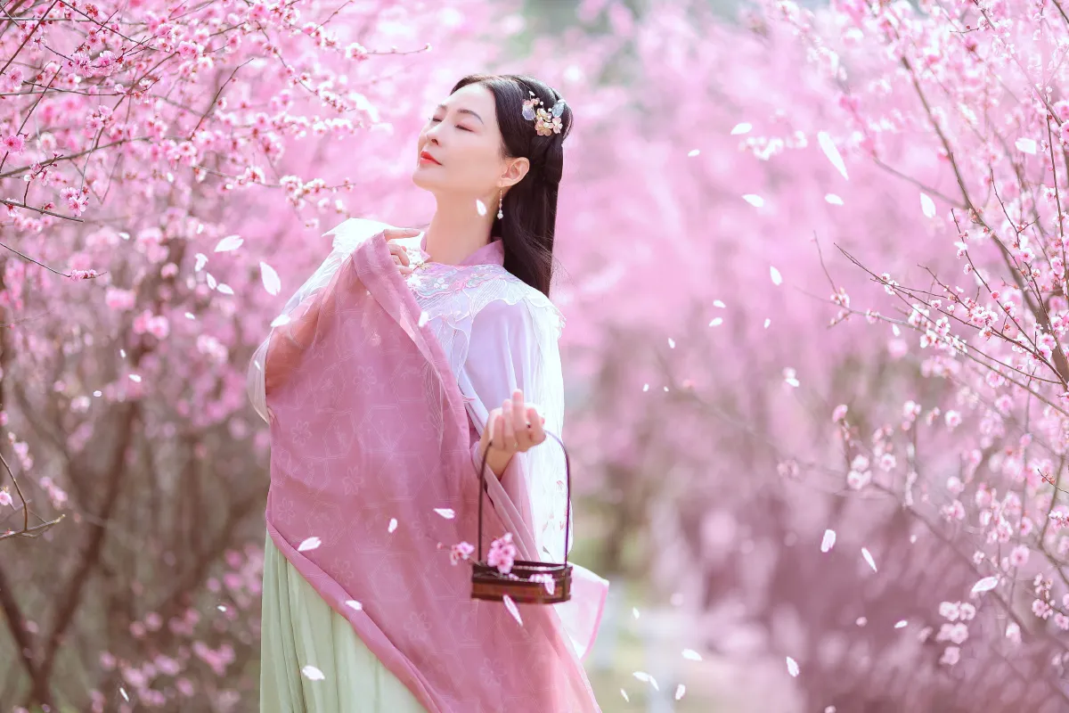 暖春樱色2