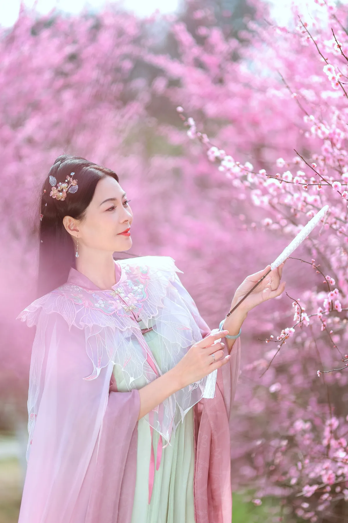 暖春樱色