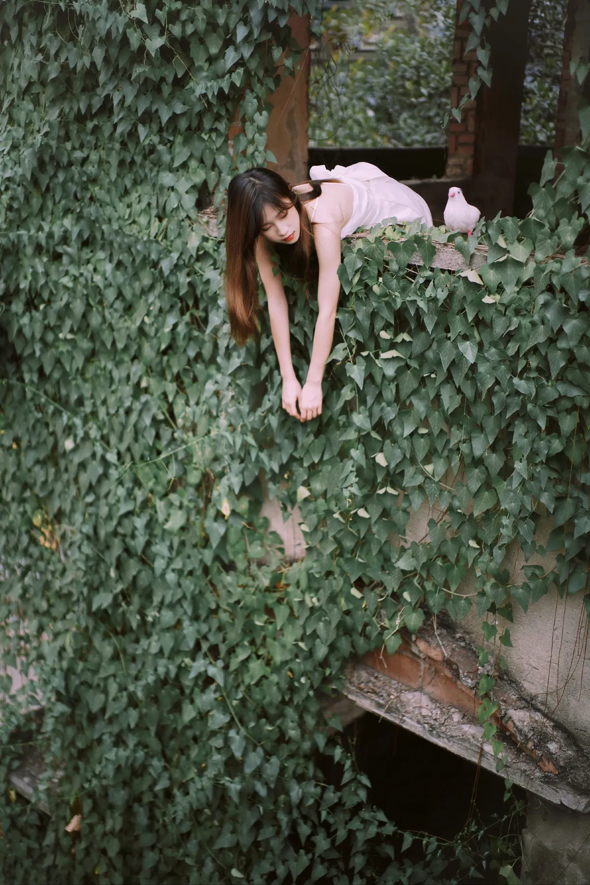 花寂