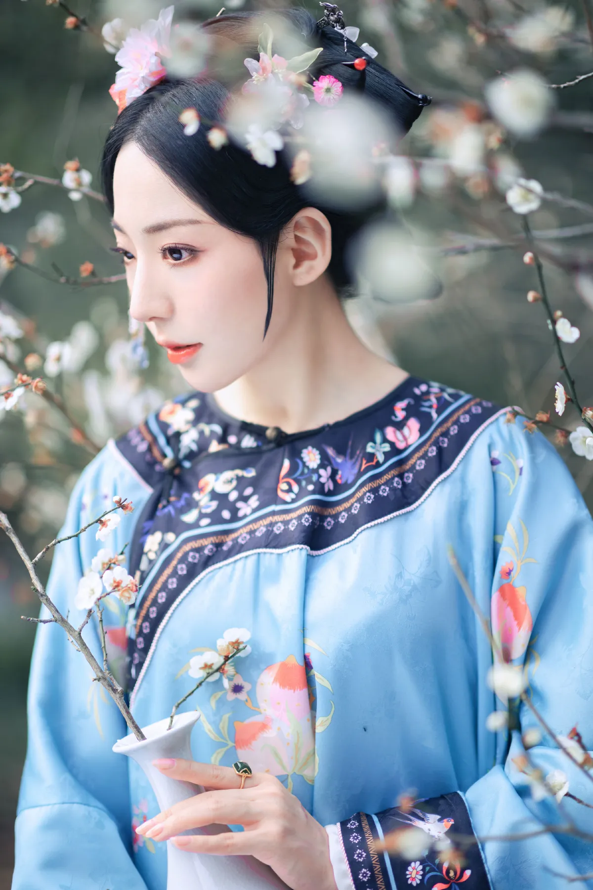 探梅