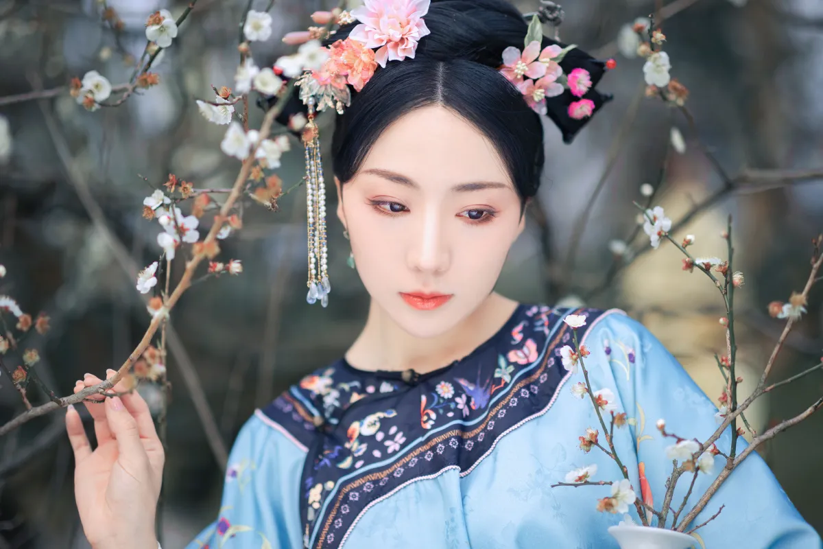 探梅