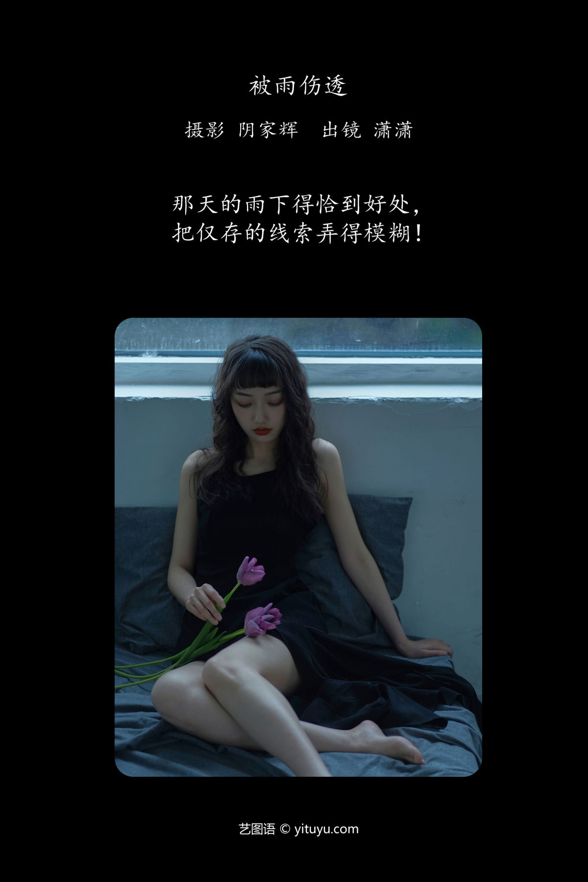 阴家辉_潇潇《被雨伤透》美图作品图片2