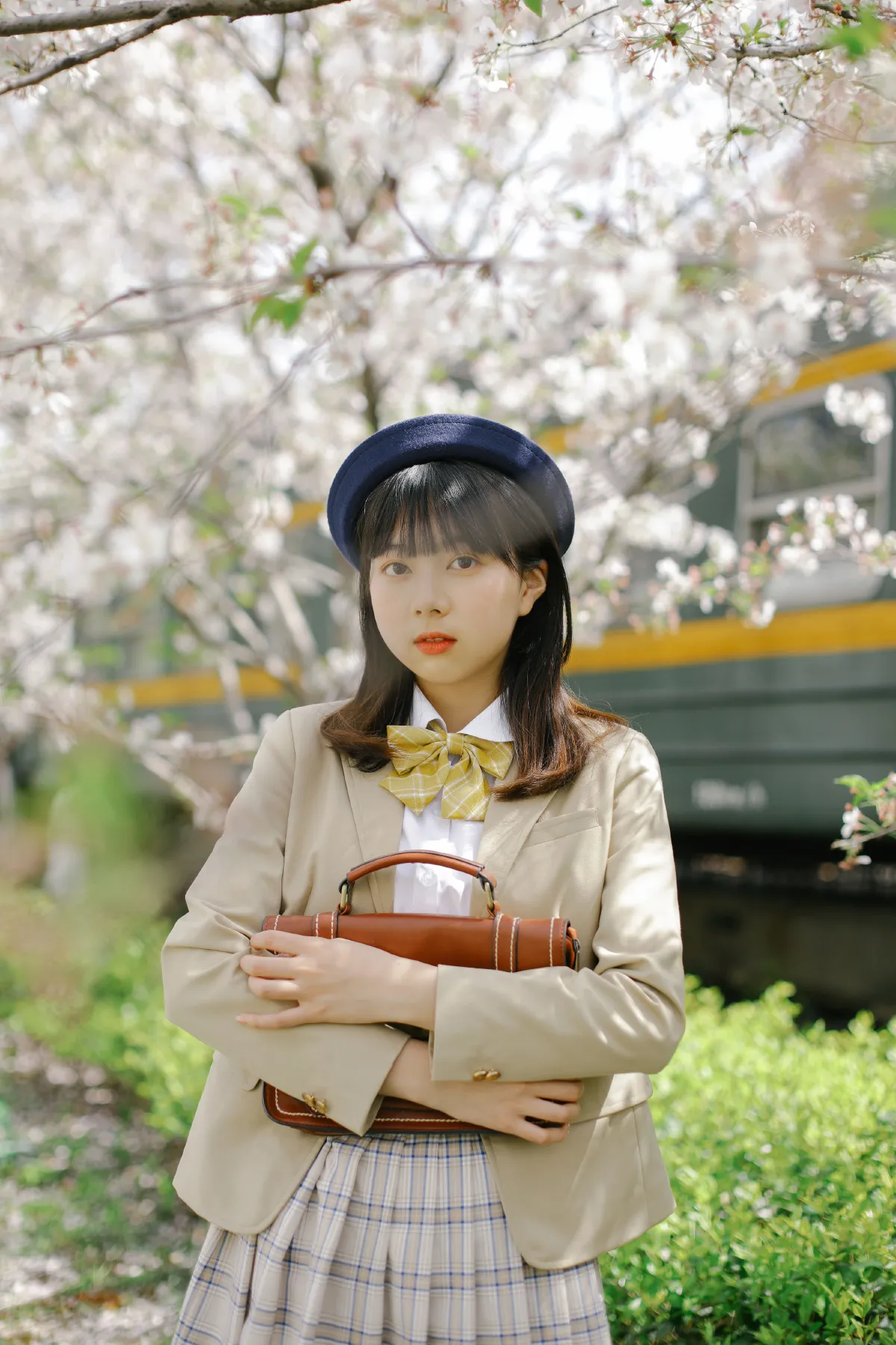 樱花烂漫2