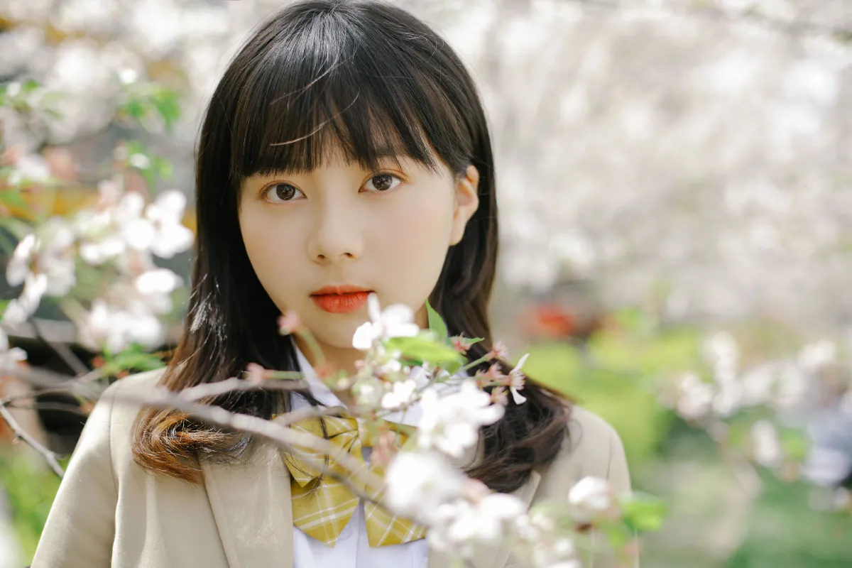 樱花烂漫3