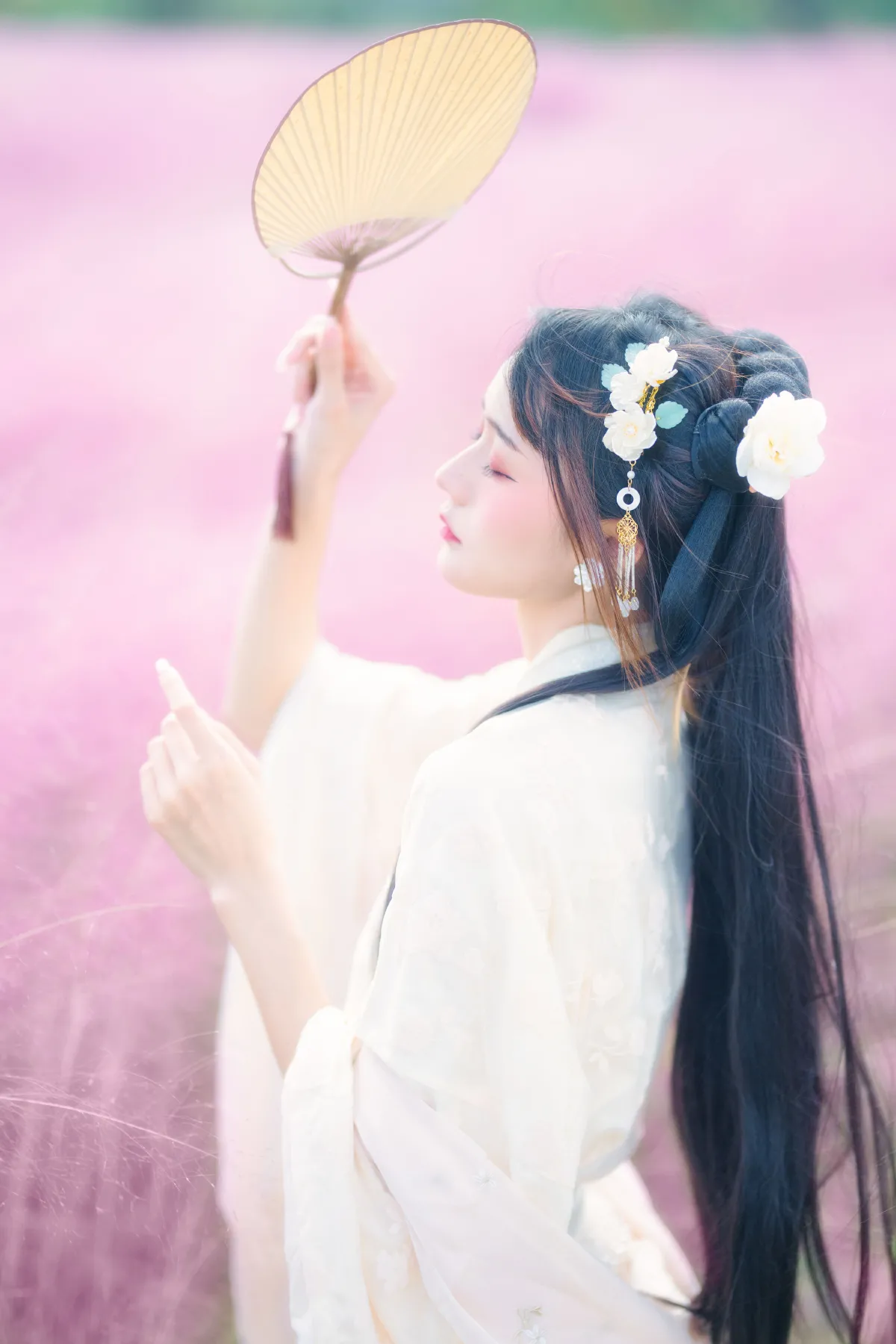 粉草回忆1