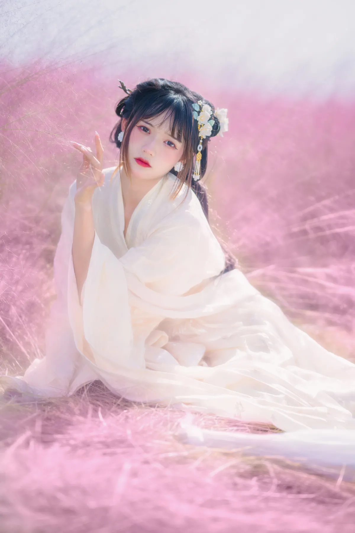 粉草回忆2