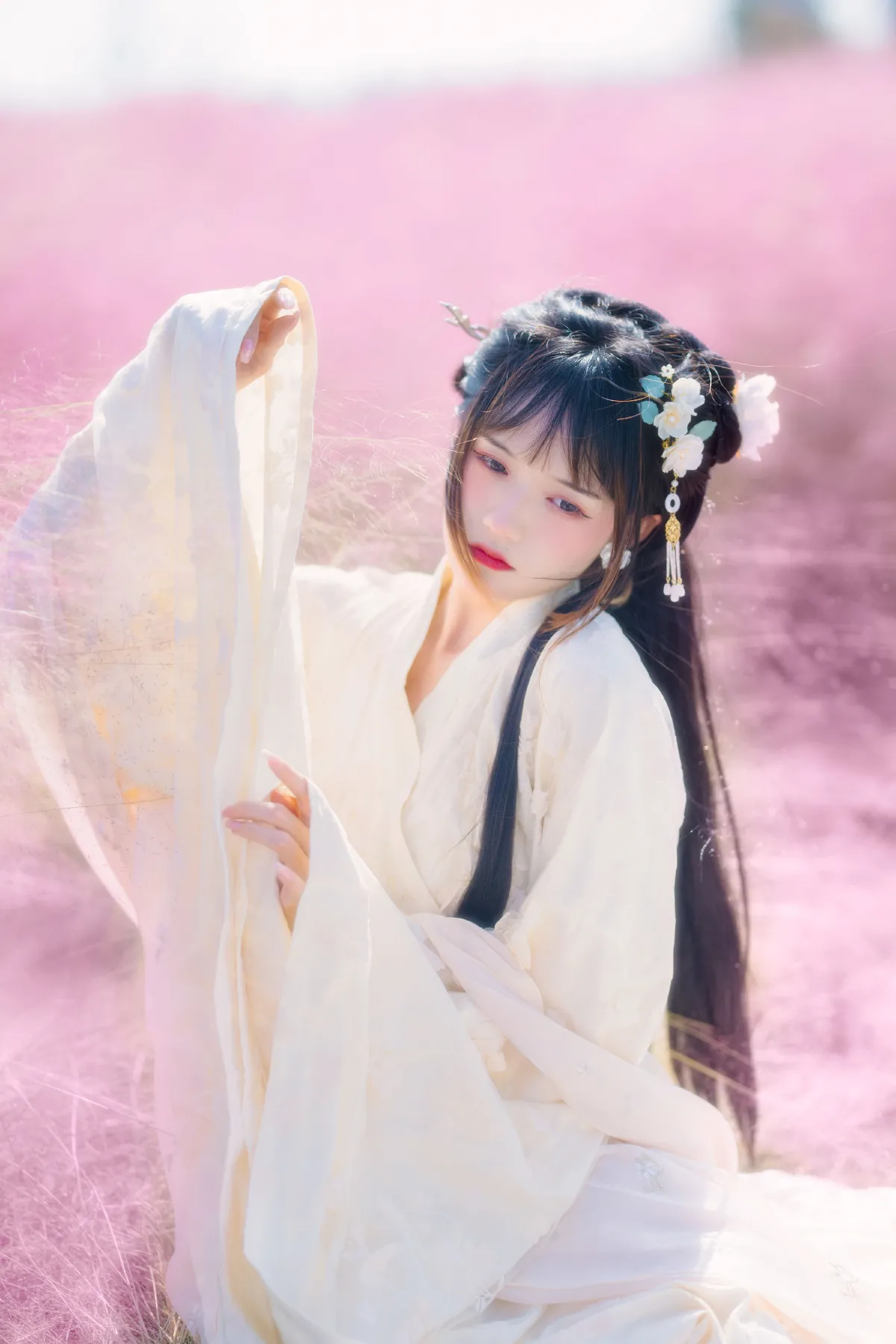 粉草回忆3
