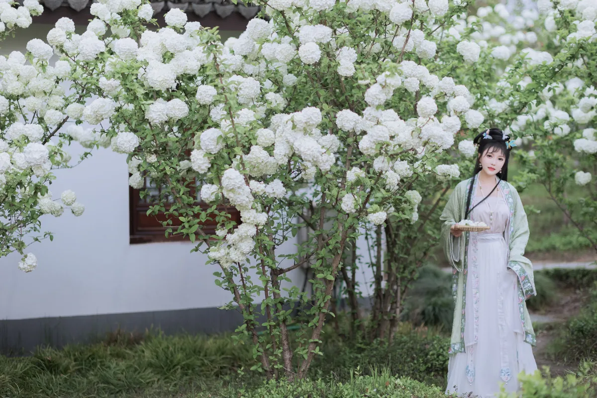 探春1