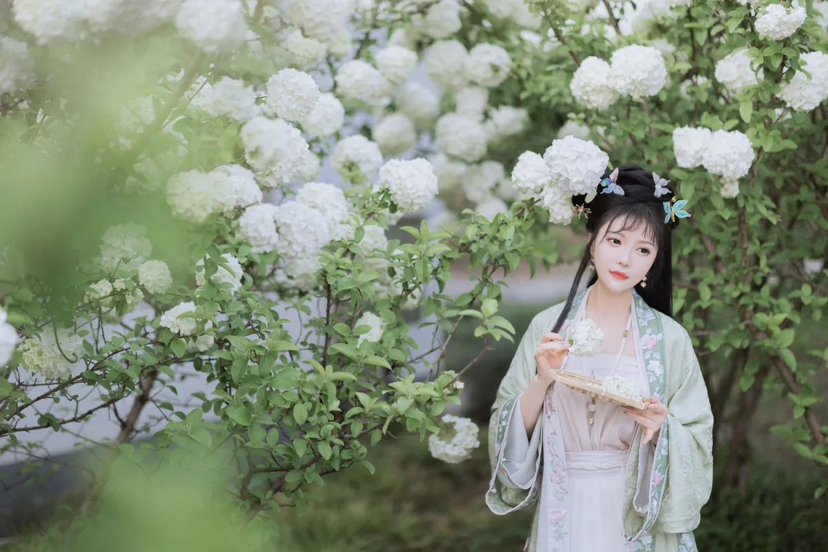 探春
