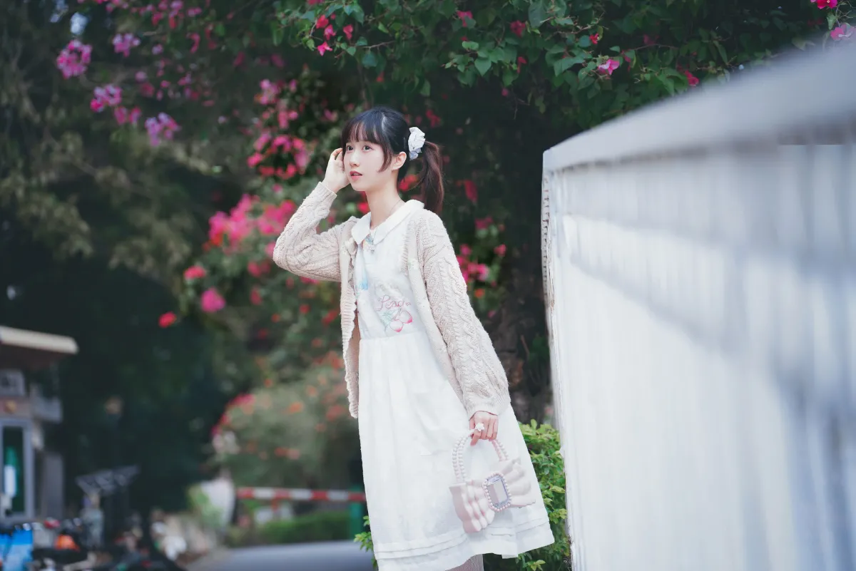 花与少女2