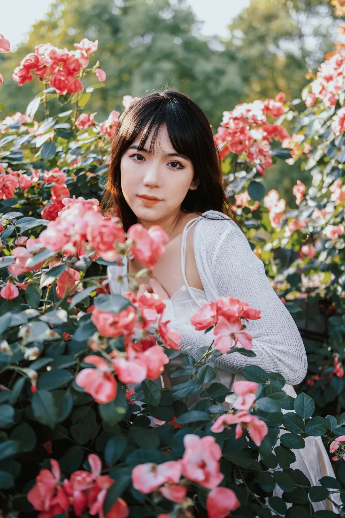 蔷薇花下