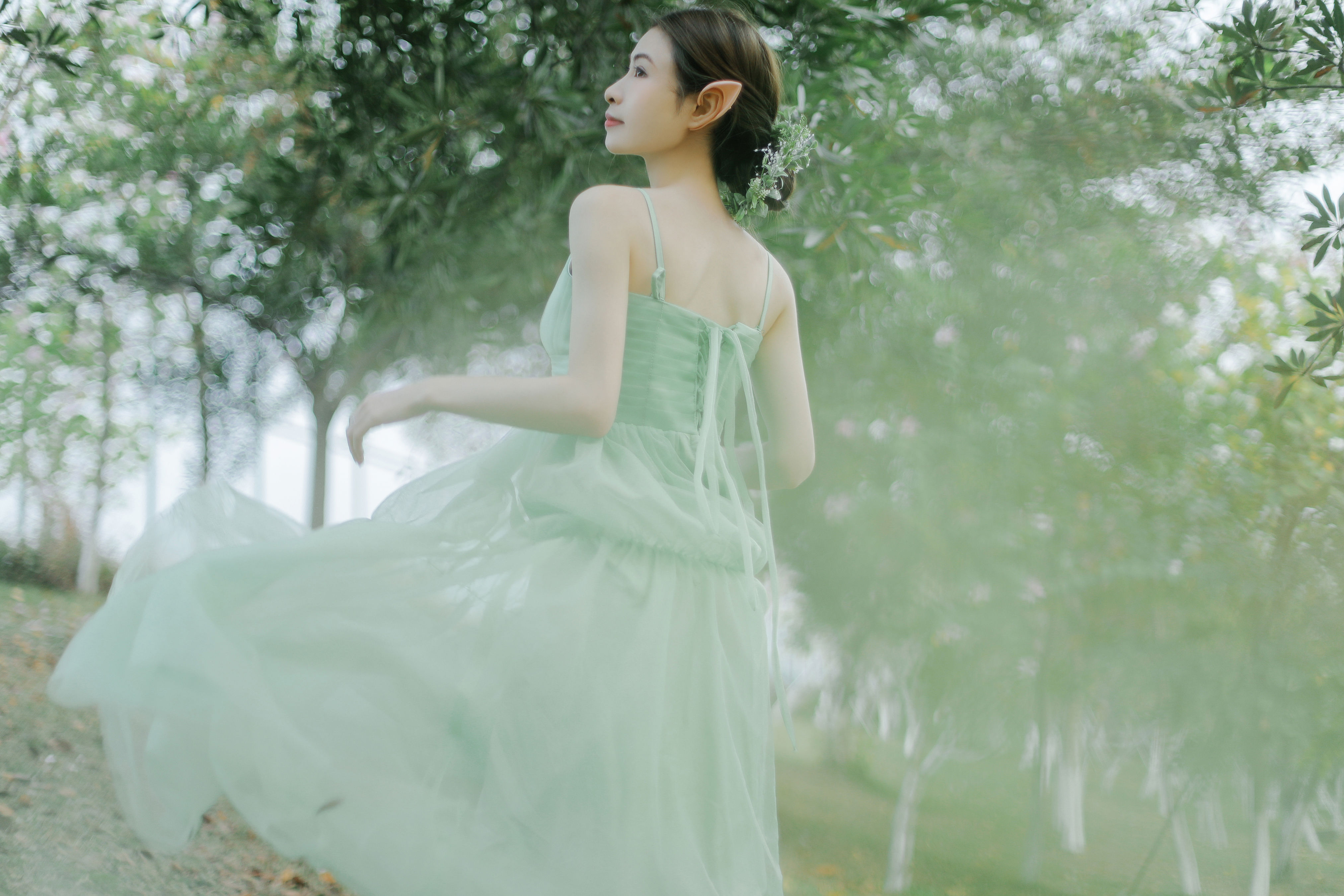 森林里的精灵