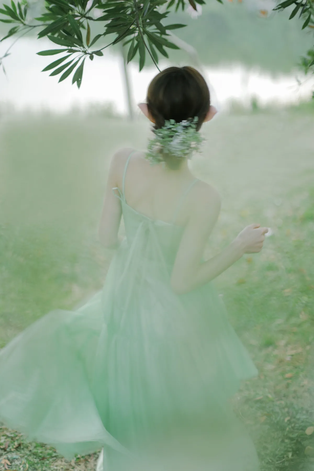 森林里的精灵