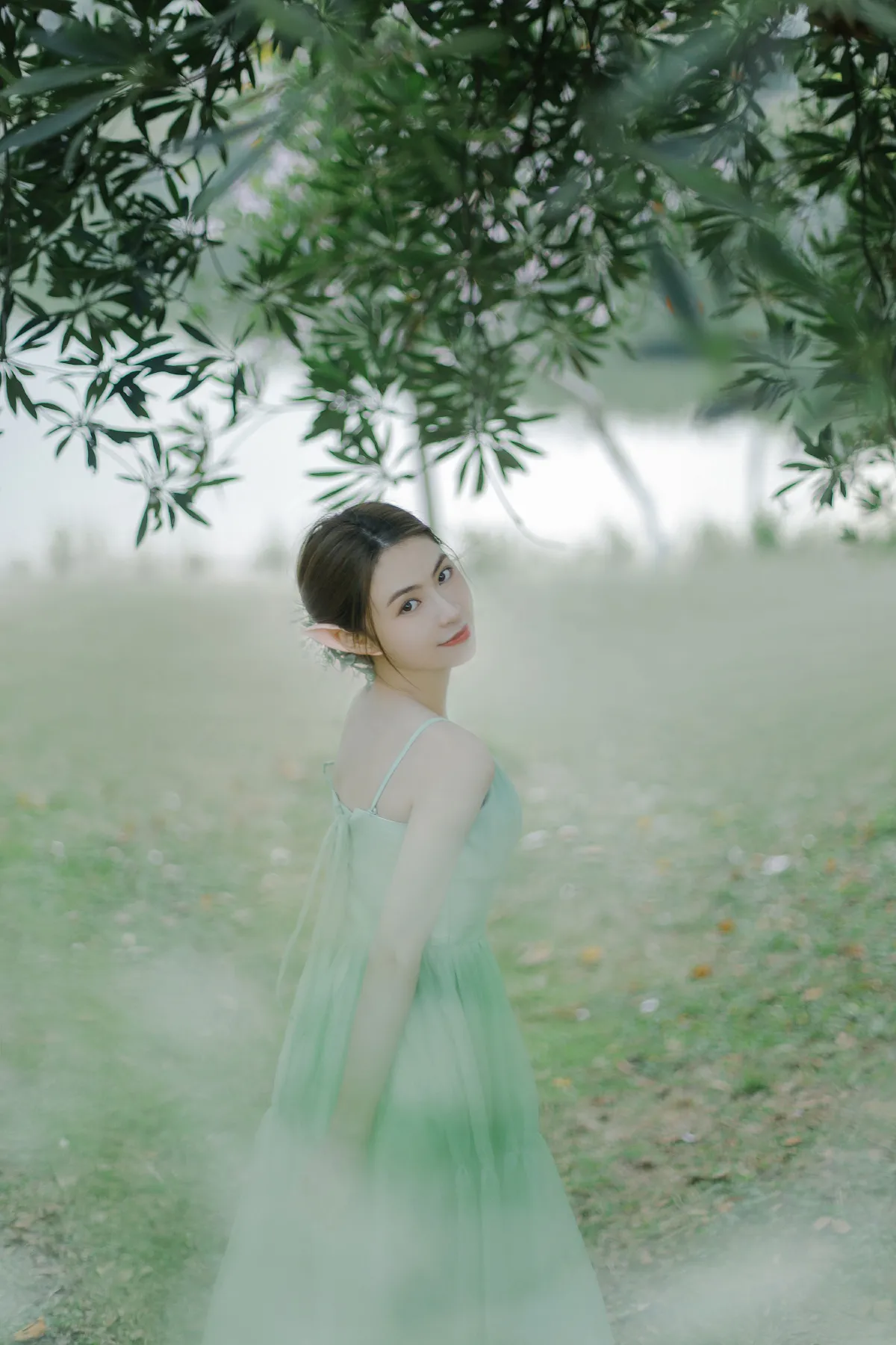 森林里的精灵