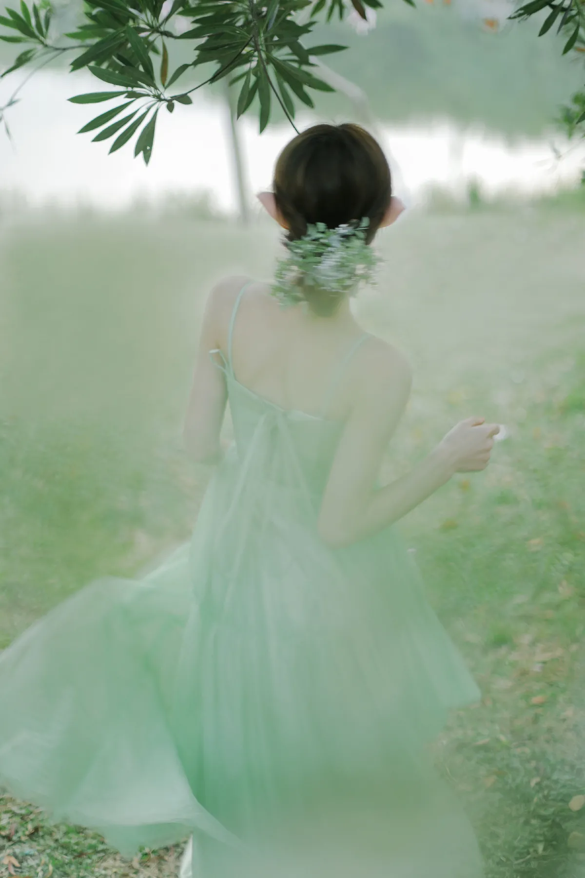 森林里的精灵3
