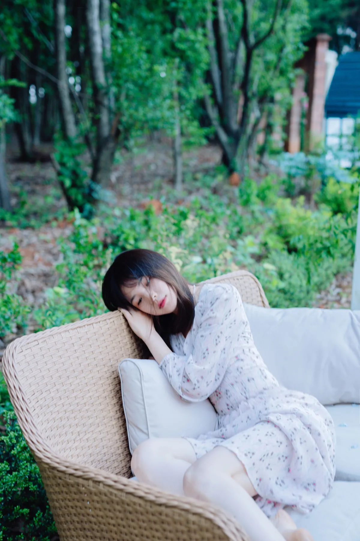 梦之花1