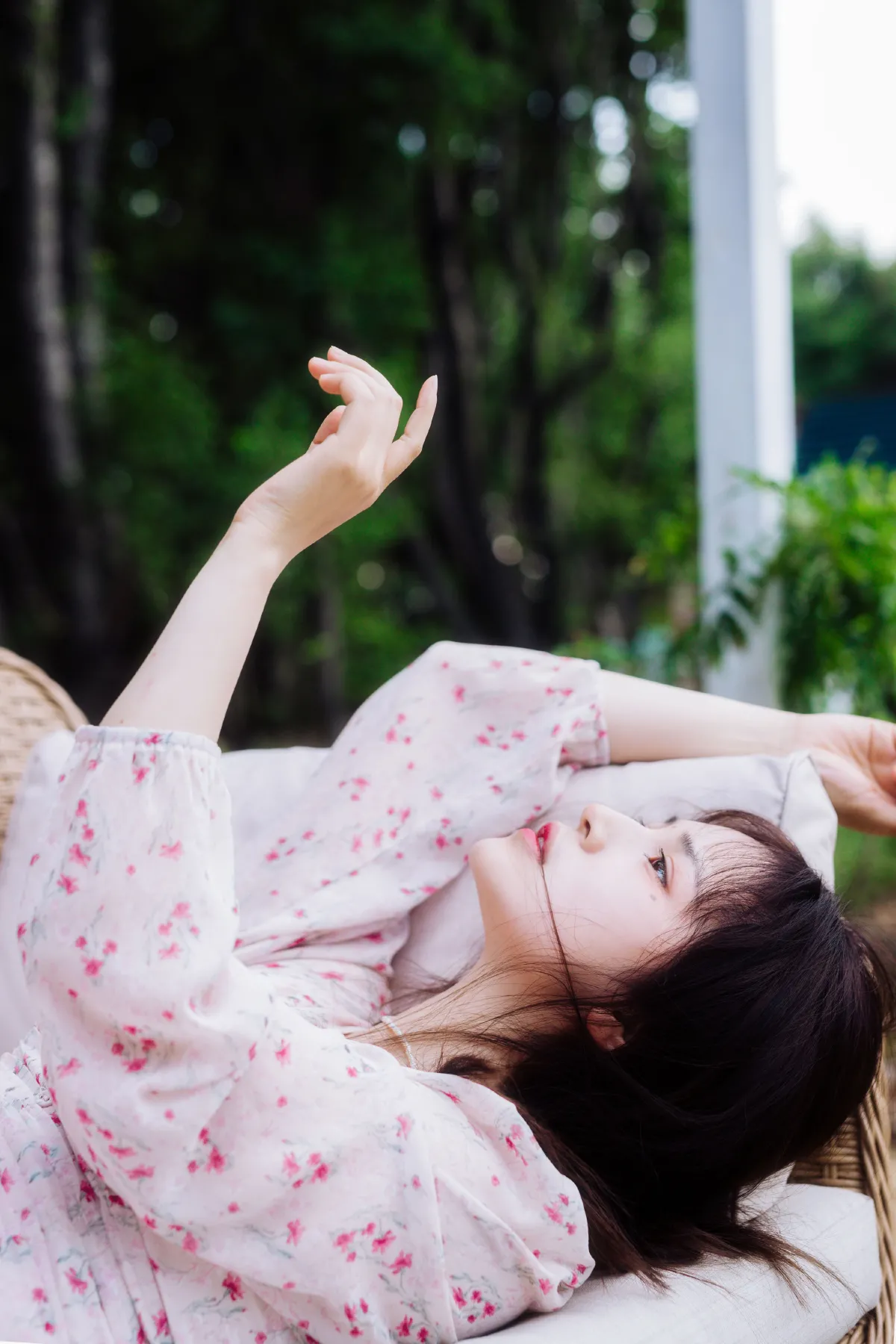 梦之花
