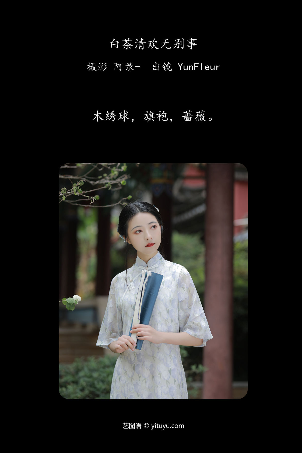 阿录-_与芳《白茶清欢无别事》美图作品图片2