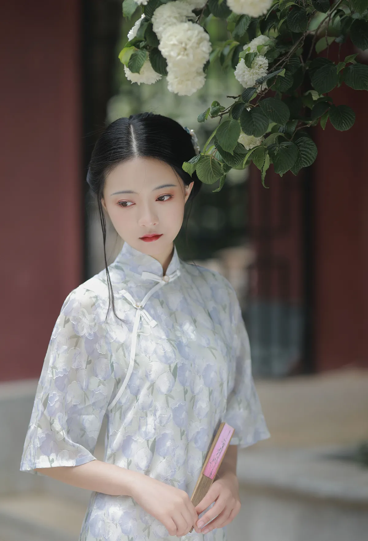 白茶清欢无别事2