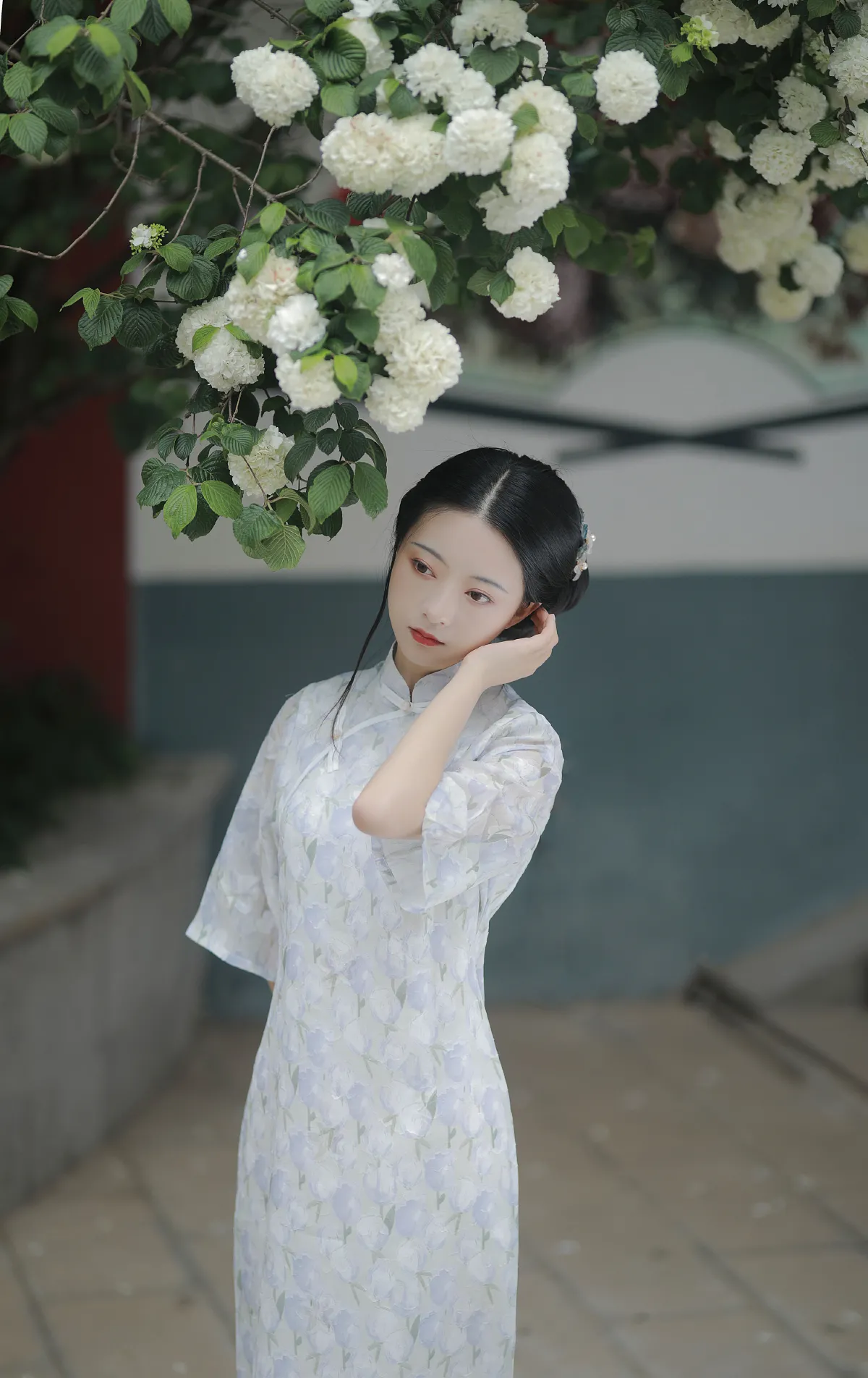 白茶清欢无别事