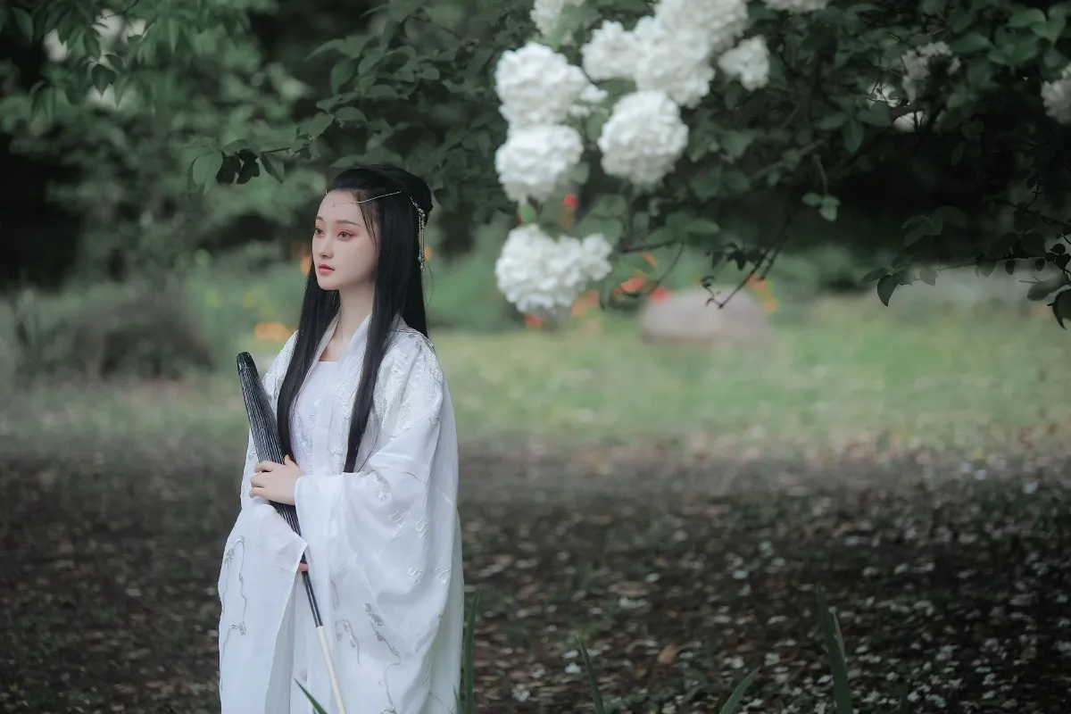 琼花并貌1