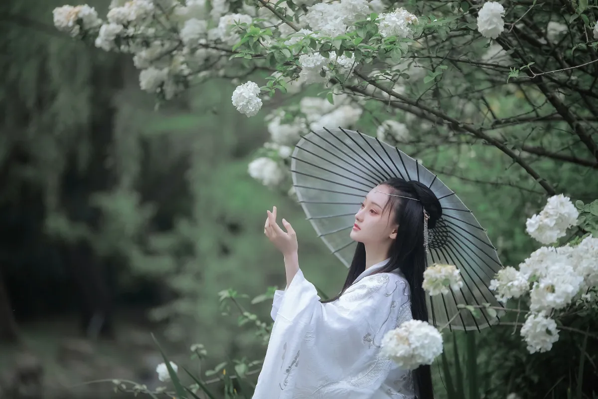 琼花并貌2