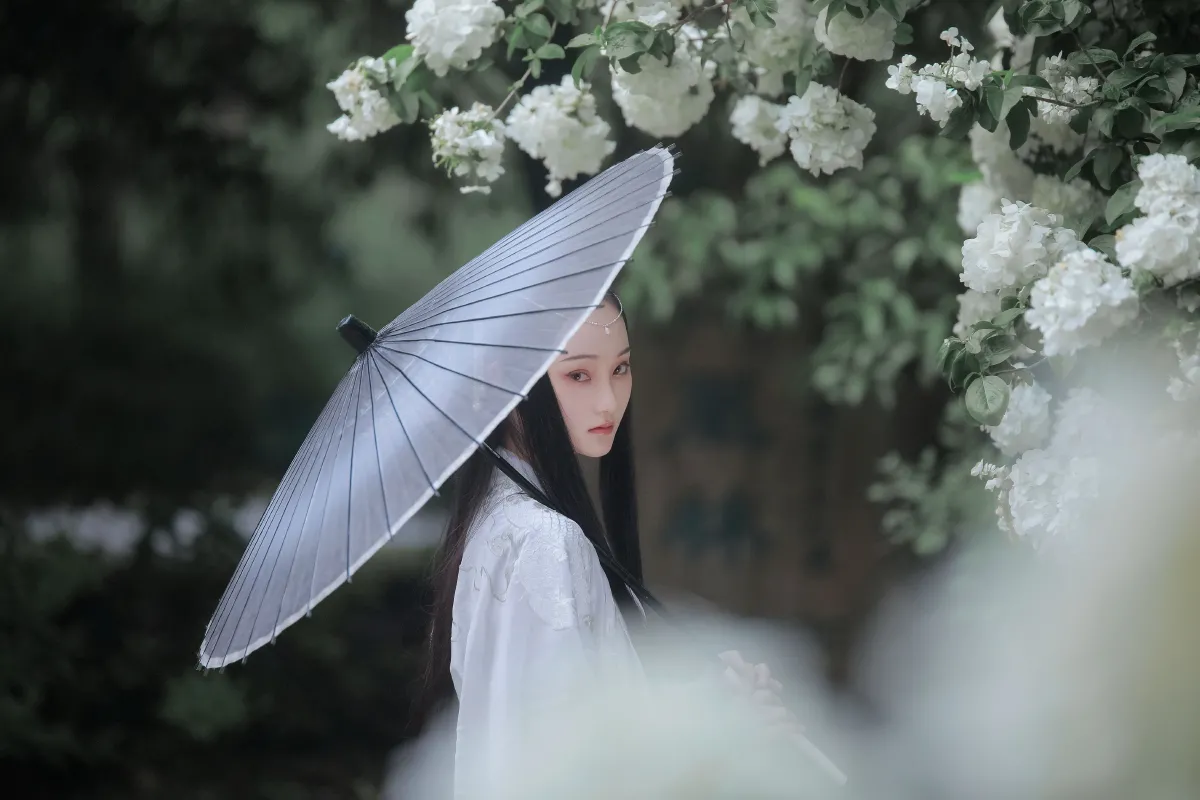 琼花并貌3