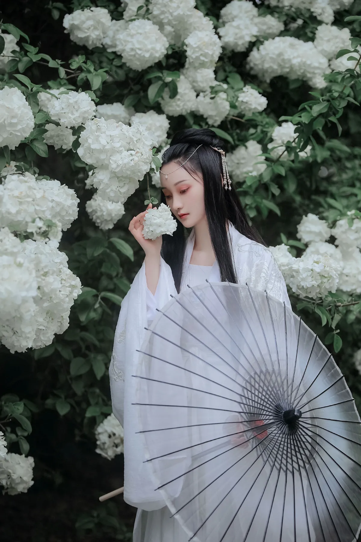 琼花并貌