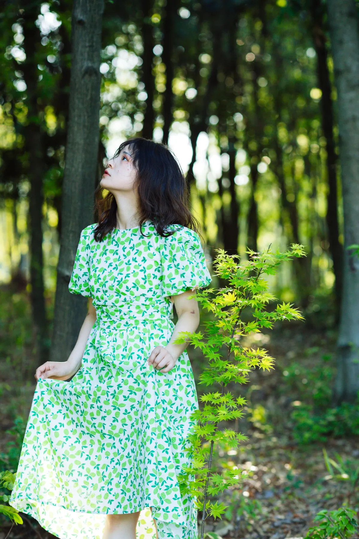 绿野花园