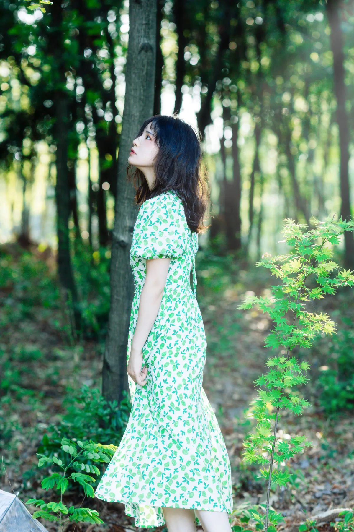 绿野花园