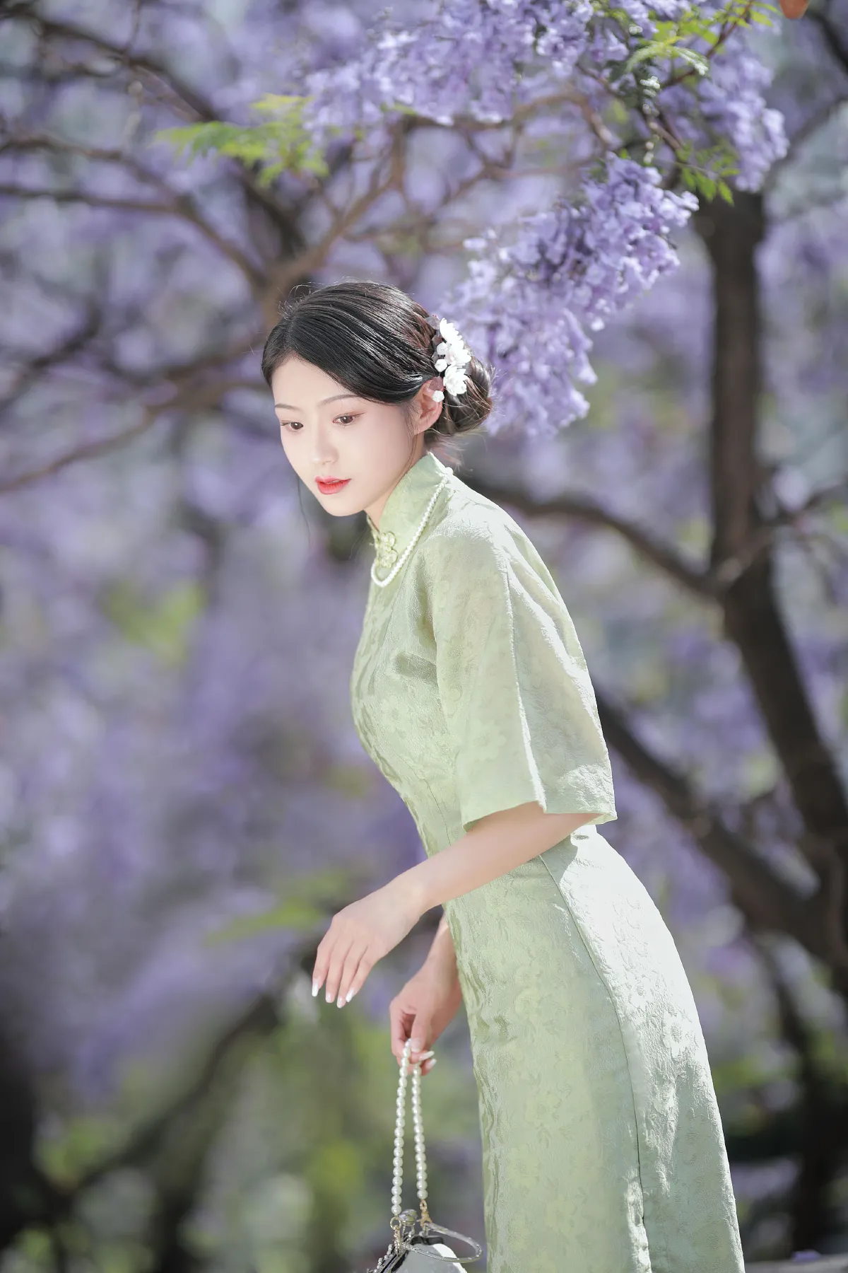 蓝花楹1