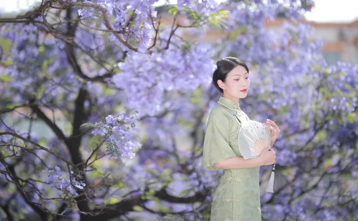 蓝花楹2