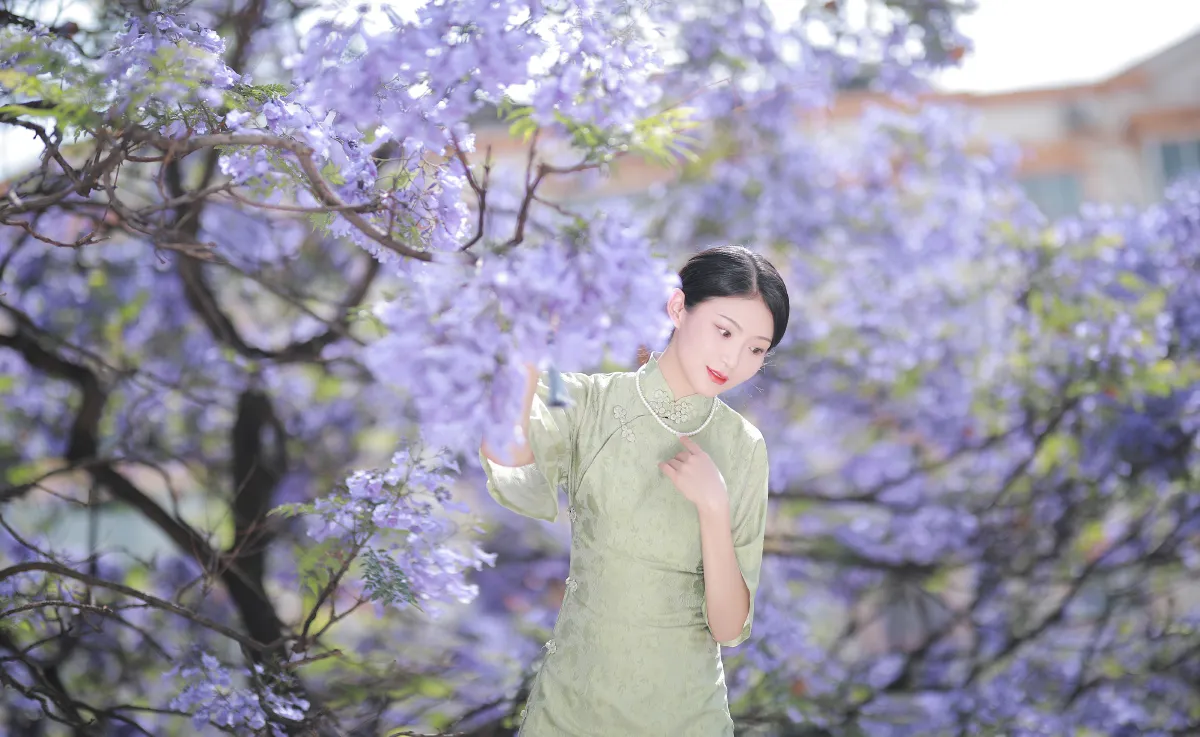 蓝花楹3
