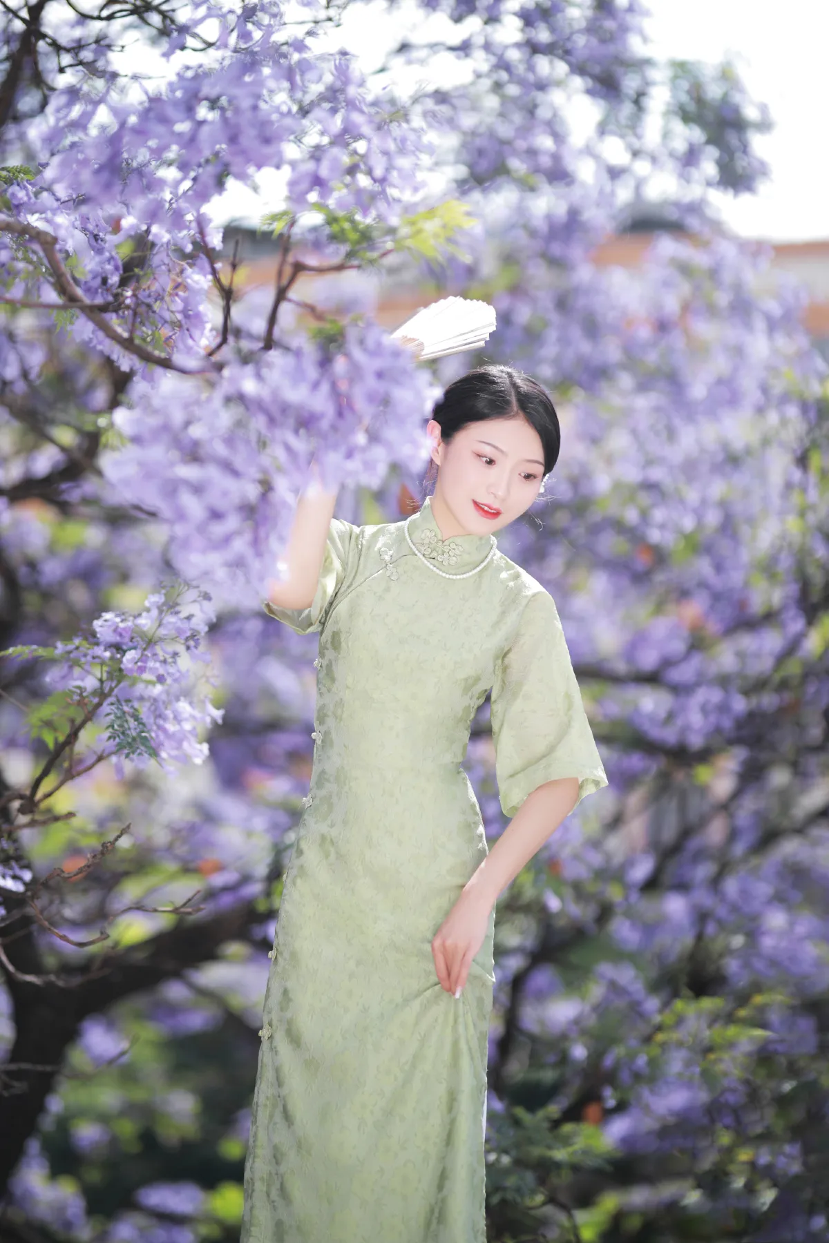 蓝花楹