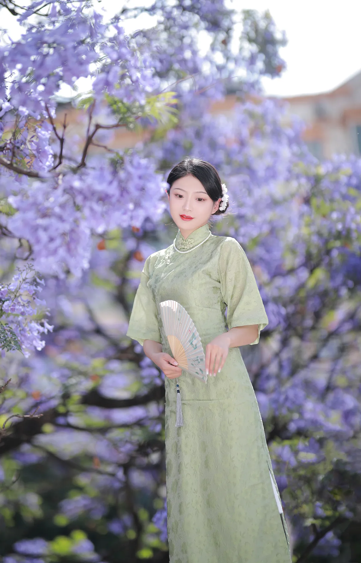 蓝花楹