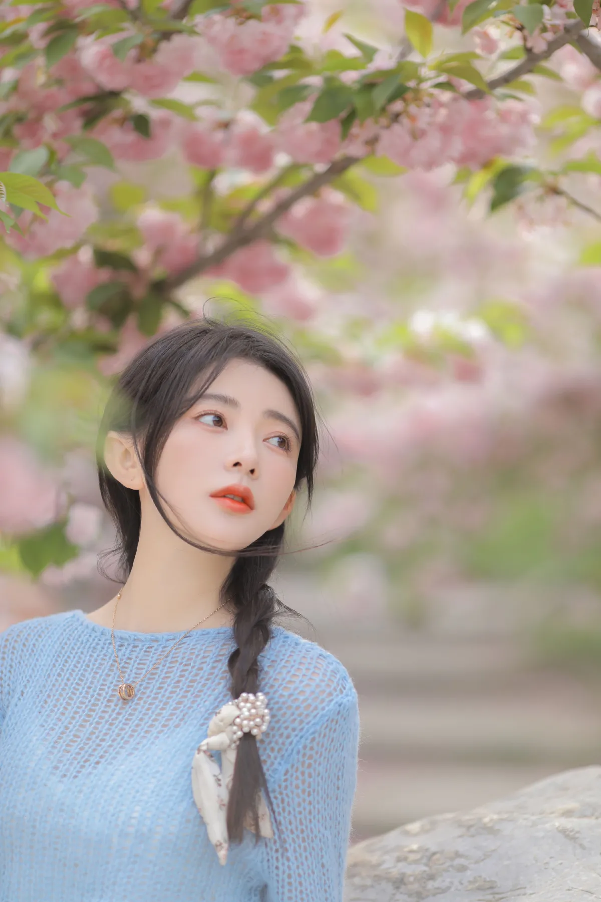 粉蓝晚樱1