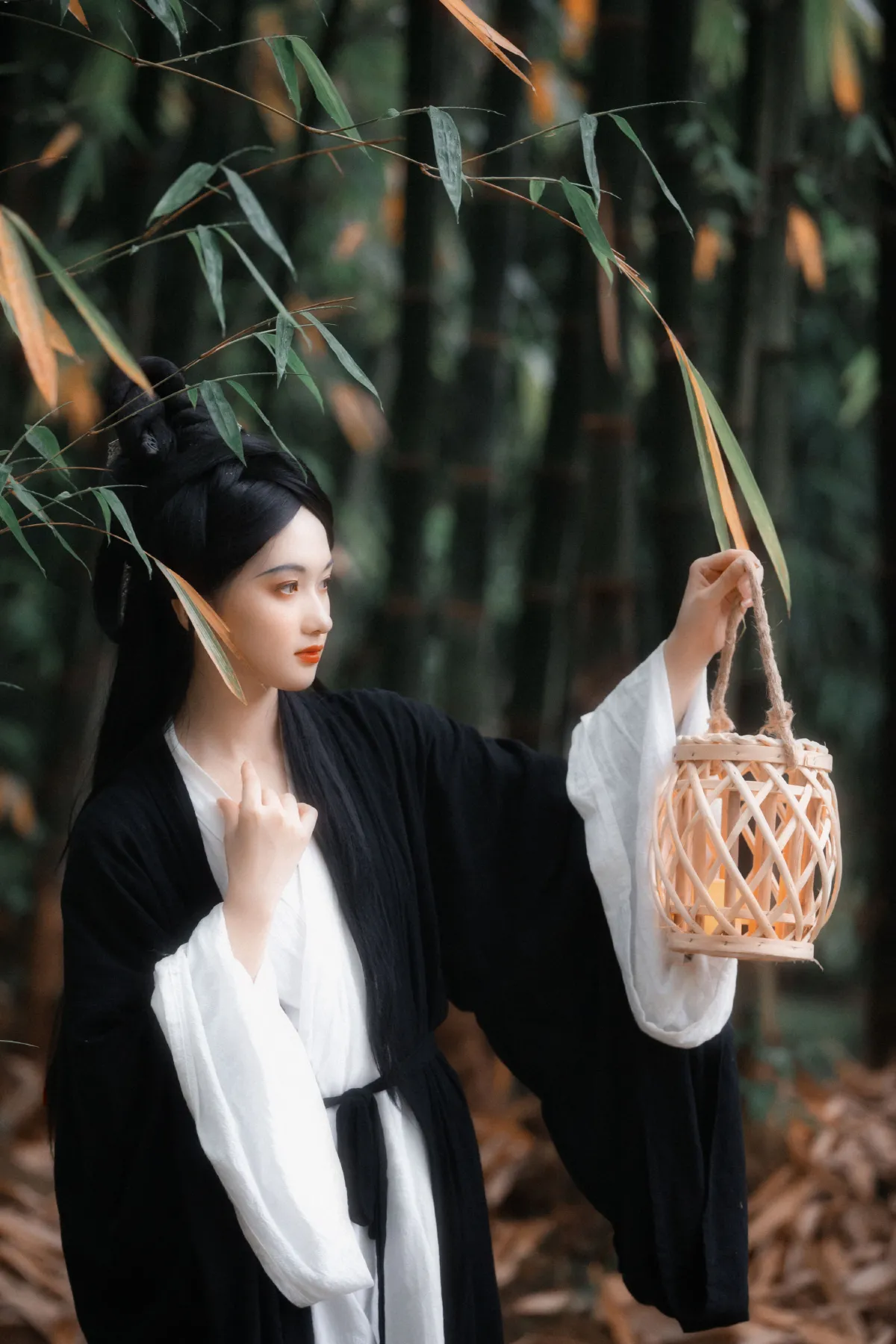 格陵兰的蔡蔡_大歪歪哥《见与不见》美图作品图片4