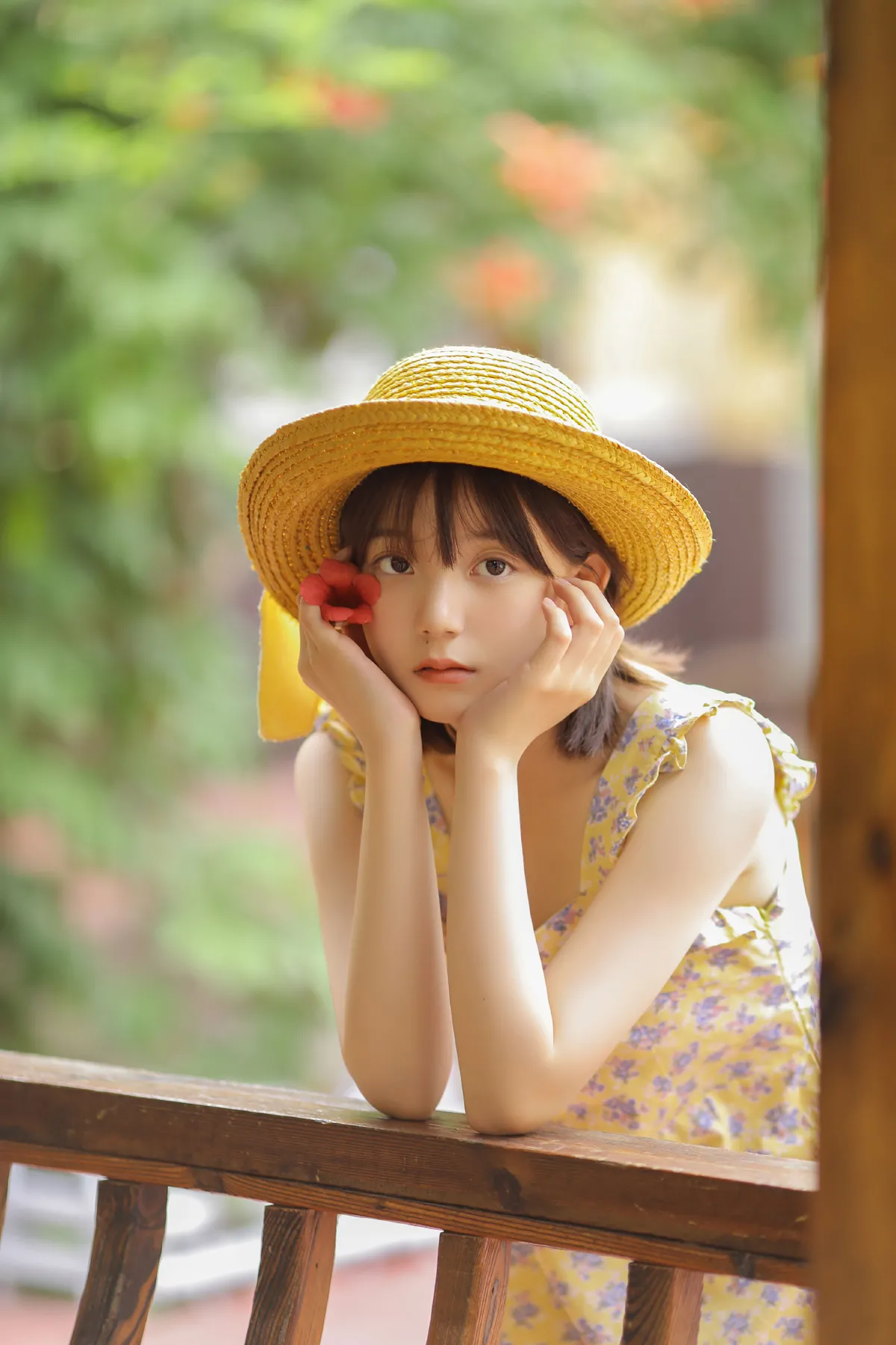 悠悠夏日长