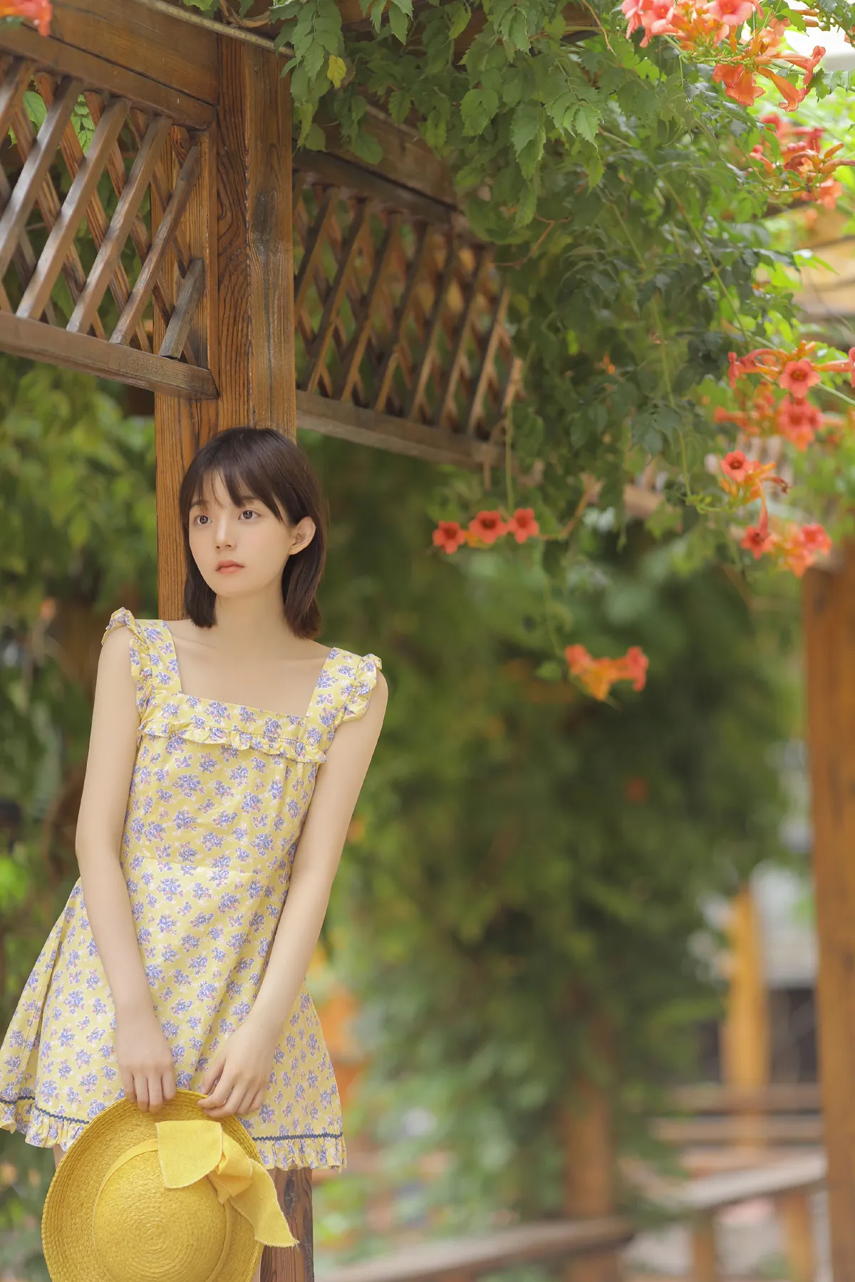 悠悠夏日长1
