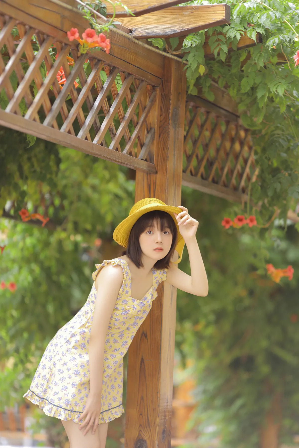 悠悠夏日长3
